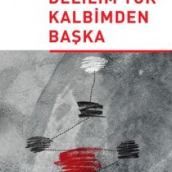 Delilim Yok Kalbimden Başka